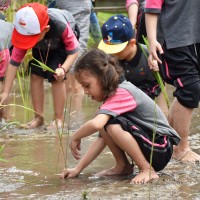 Field Trip "Agrowisata Tenayan Raya" | PAUD METTA MAITREYA